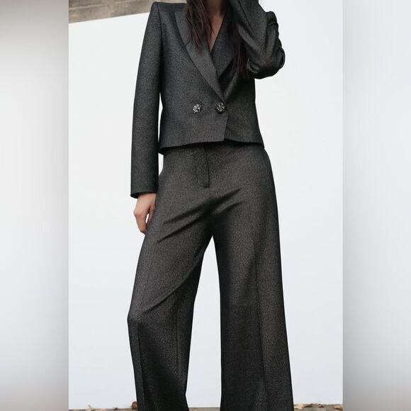 NWT Zara Grey Crop Blazer Short Shiny Size XS - Picture 4 of 12